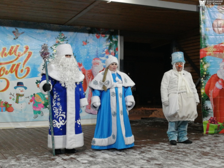 Открытие елки в парке Сердце Новоселово